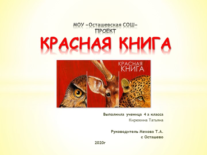 Красная книга.Презентация по окружающему миру - Скачать школьные презентации PowerPoint бесплатно | Портал бесплатных презентаций school-present.com