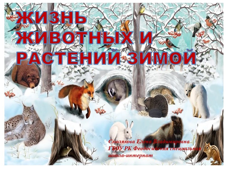 Презентация коррекционного воспитательского занятия "Жизнь животных и растений зимой" - Скачать школьные презентации PowerPoint бесплатно | Портал бесплатных презентаций school-present.com