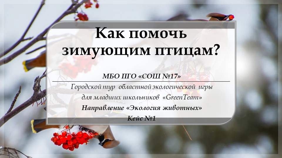 Презентация учащихся 3 класса Как помочь зимующим птицам? - Скачать школьные презентации PowerPoint бесплатно | Портал бесплатных презентаций school-present.com