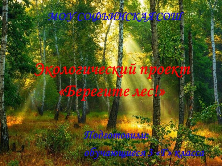 Презентация "Берегите лес!" (начальная школа) - Скачать школьные презентации PowerPoint бесплатно | Портал бесплатных презентаций school-present.com