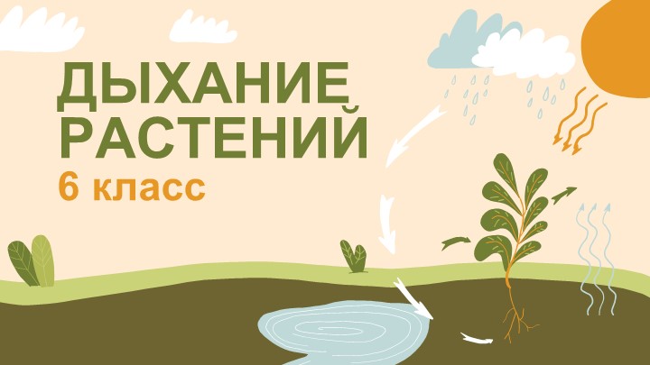 Презентация по биологии на тему "Дыхание растений" (6 класс) - Скачать школьные презентации PowerPoint бесплатно | Портал бесплатных презентаций school-present.com