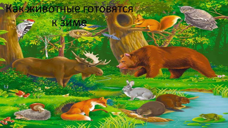 Презентация "Как животные готовятся к зиме" - Скачать школьные презентации PowerPoint бесплатно | Портал бесплатных презентаций school-present.com