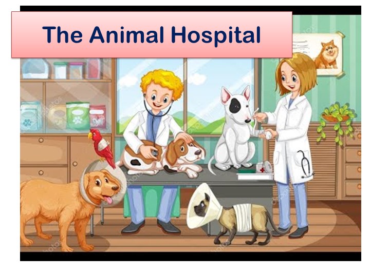 Презентация по английскому языку "The Animal Hospital" (4 класс) - Скачать школьные презентации PowerPoint бесплатно | Портал бесплатных презентаций school-present.com