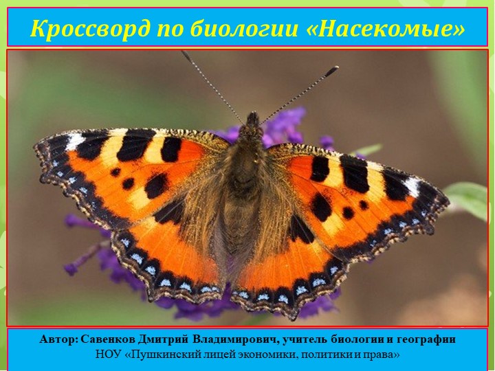 Кроссворд по биологии "Насекомые". - Скачать школьные презентации PowerPoint бесплатно | Портал бесплатных презентаций school-present.com