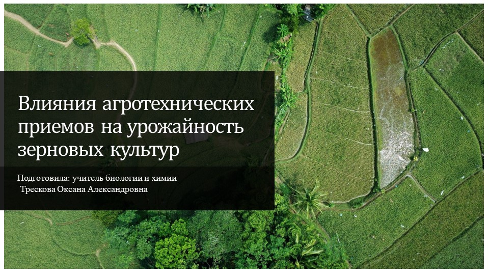 Презентация "Влияния агротехнических приемов на урожайность зерновых культур" - Скачать школьные презентации PowerPoint бесплатно | Портал бесплатных презентаций school-present.com