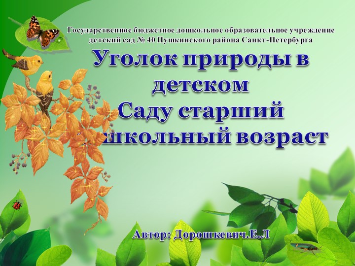 Презентация "УГОЛОК природы в детском саду в старшем дошкольном возрасте" - Скачать школьные презентации PowerPoint бесплатно | Портал бесплатных презентаций school-present.com