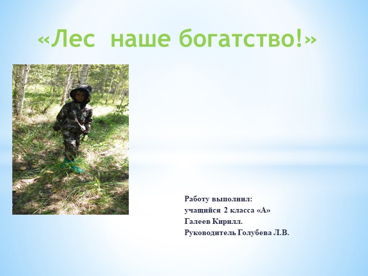 Презентация "Лес - наше богатство" - Скачать школьные презентации PowerPoint бесплатно | Портал бесплатных презентаций school-present.com