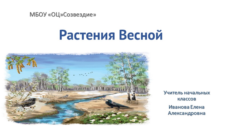 Презентация по миру природы и человека на тему "Растения весной" 4 класс - Скачать школьные презентации PowerPoint бесплатно | Портал бесплатных презентаций school-present.com