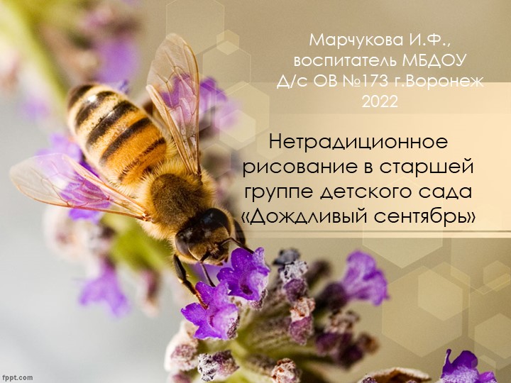 Нетрадиционное рисование в старшей группе детского сада "Дождливый сентябрь". - Скачать школьные презентации PowerPoint бесплатно | Портал бесплатных презентаций school-present.com