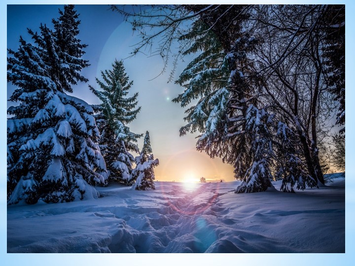 Презентация "Зимующие птицы" средняя группа - Скачать школьные презентации PowerPoint бесплатно | Портал бесплатных презентаций school-present.com