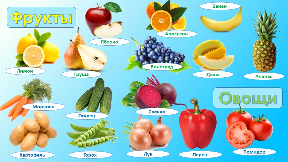 Презентация "Овощи и фрукты" - Скачать школьные презентации PowerPoint бесплатно | Портал бесплатных презентаций school-present.com