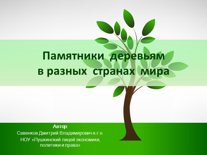 Презентация по биологии Памятники деревьям - Скачать школьные презентации PowerPoint бесплатно | Портал бесплатных презентаций school-present.com