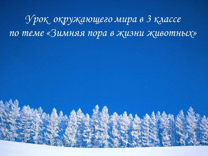 Презентация урока окружающего мира в 3 классе на тему Зимняя пора в жизни животных - Скачать школьные презентации PowerPoint бесплатно | Портал бесплатных презентаций school-present.com