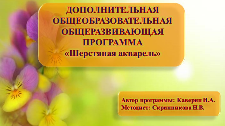 ДОПОЛНИТЕЛЬНАЯ ОБЩЕОБРАЗОВАТЕЛЬНАЯ ОБЩЕРАЗВИВАЮЩАЯ ПРОГРАММА «Шерстяная акварель» - Скачать школьные презентации PowerPoint бесплатно | Портал бесплатных презентаций school-present.com