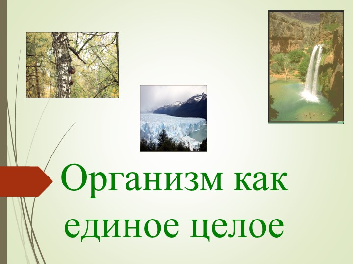 "Организм, как единое целое" - Скачать школьные презентации PowerPoint бесплатно | Портал бесплатных презентаций school-present.com