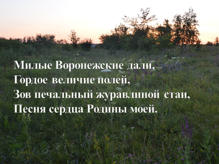 Презентация для внеклассного занятия "Воронежская область" - Скачать школьные презентации PowerPoint бесплатно | Портал бесплатных презентаций school-present.com