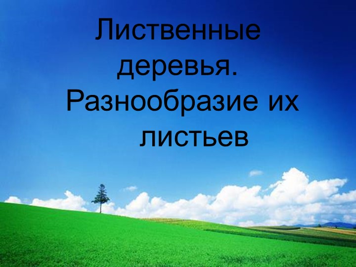 Презентация по окружающему миру на тему " Лиственные деревья" 1 класс - Скачать школьные презентации PowerPoint бесплатно | Портал бесплатных презентаций school-present.com