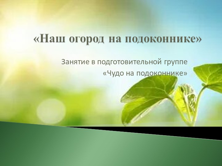 Презентация "Чудо на подоконнике" - Скачать школьные презентации PowerPoint бесплатно | Портал бесплатных презентаций school-present.com