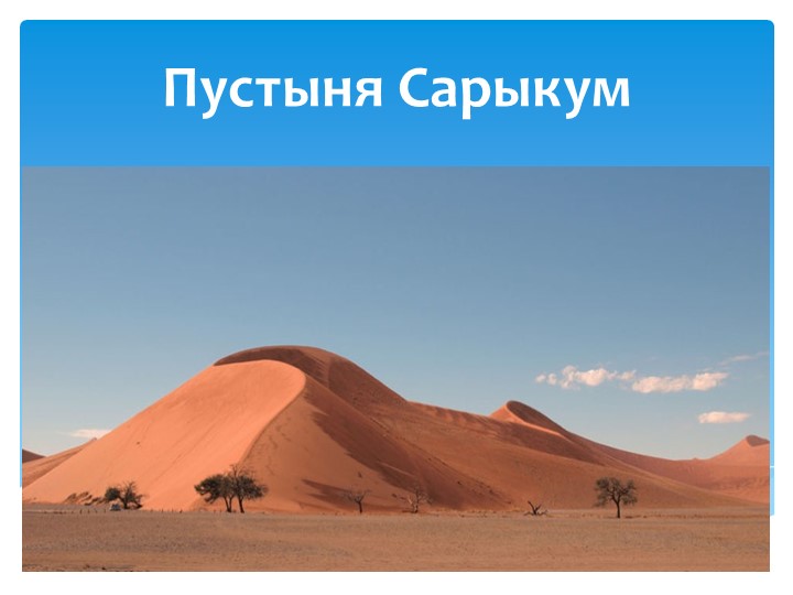 Презентация "Растительный и животный мир пустыни Сарыкум" Средняя гр. - Скачать школьные презентации PowerPoint бесплатно | Портал бесплатных презентаций school-present.com