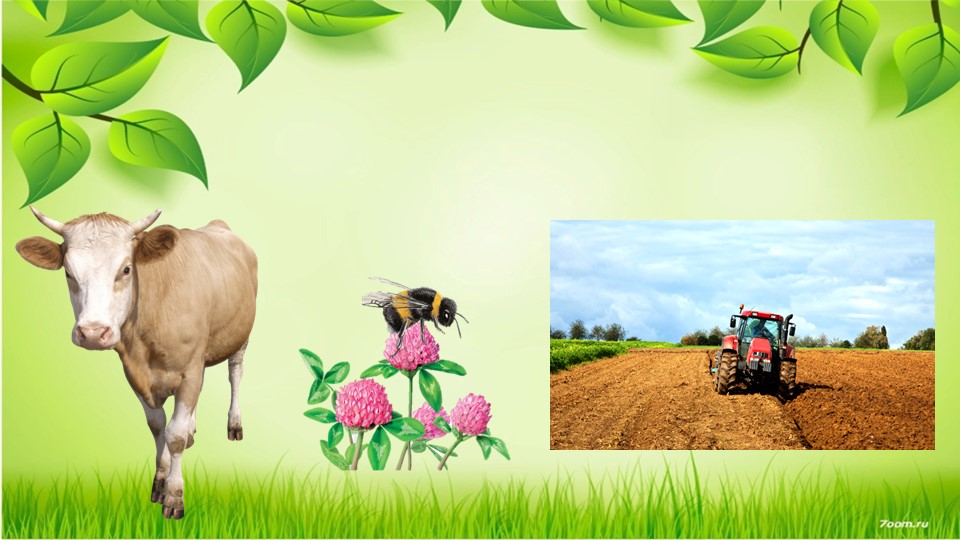 Презентация по окружающему миру "Что такое экология?" 3 класс - Скачать школьные презентации PowerPoint бесплатно | Портал бесплатных презентаций school-present.com