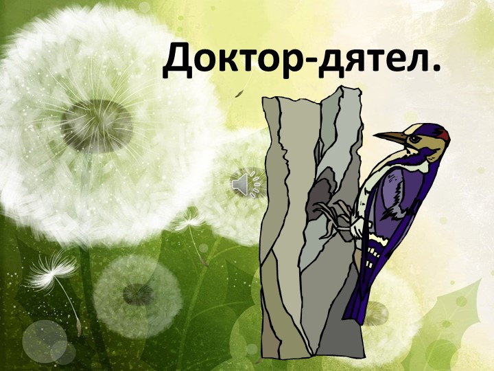 Презентация на тему "Дятел" - Скачать школьные презентации PowerPoint бесплатно | Портал бесплатных презентаций school-present.com