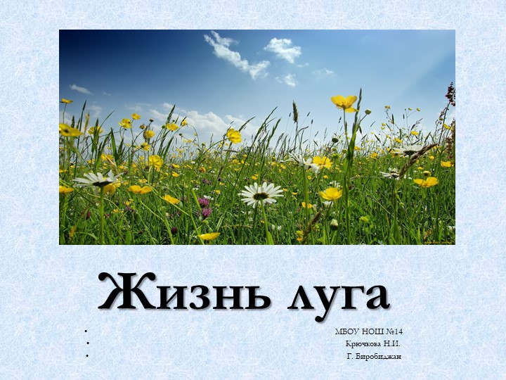 Презентация по окружающему миру на тему "Жизнь луга" (3 класс) - Скачать школьные презентации PowerPoint бесплатно | Портал бесплатных презентаций school-present.com