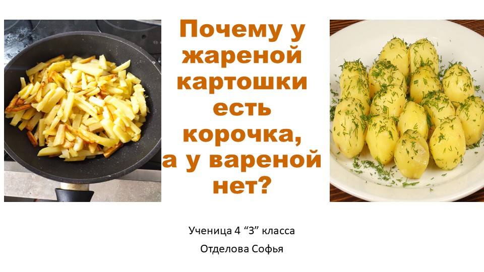 Проектная работа "Почему у жареной картошки есть корочка, а у варёной нет" - Скачать школьные презентации PowerPoint бесплатно | Портал бесплатных презентаций school-present.com