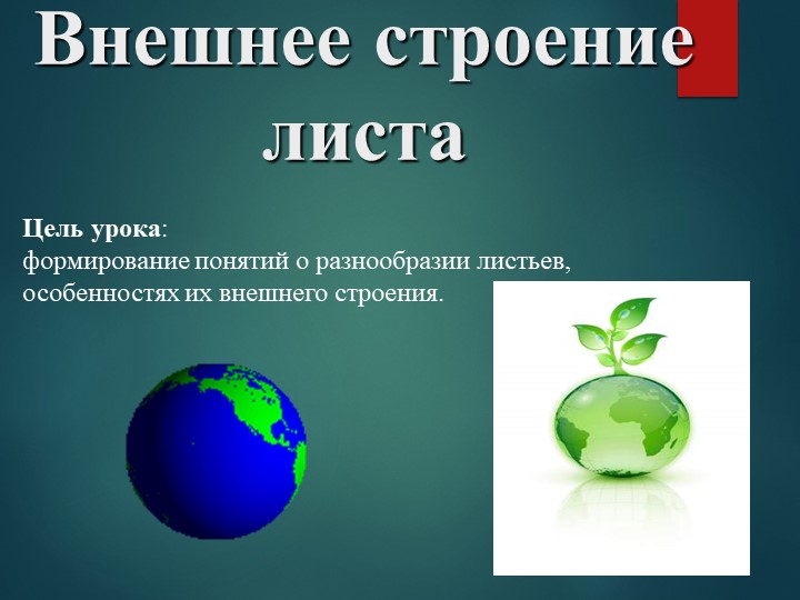 Презентация "Внешнее строение листа". - Скачать школьные презентации PowerPoint бесплатно | Портал бесплатных презентаций school-present.com