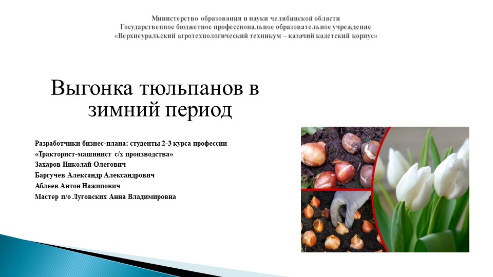 Презентация Бизнес-план "Выгонка тюльпанов в зимний период" - Скачать школьные презентации PowerPoint бесплатно | Портал бесплатных презентаций school-present.com