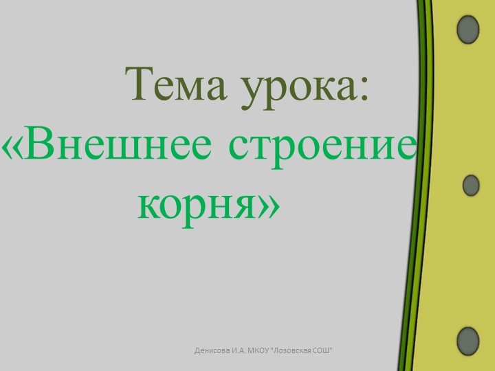 Презентация к уроку биологии на тему "Внешнее строение корня" (6 класс) - Скачать школьные презентации PowerPoint бесплатно | Портал бесплатных презентаций school-present.com