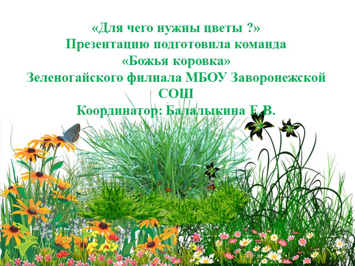 Презентация по окружающему миру "Для чего нужны цветы?" для начальных классов - Скачать школьные презентации PowerPoint бесплатно | Портал бесплатных презентаций school-present.com