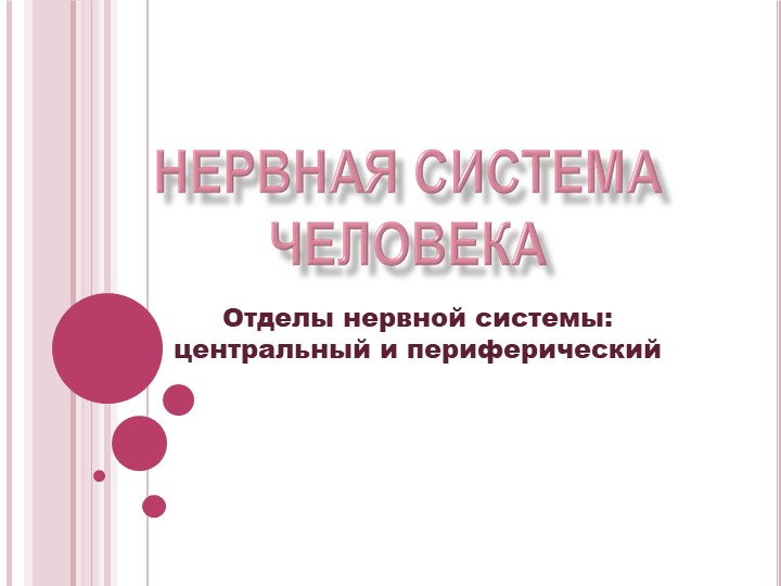 Презентация "Нервная система человека. Отделы нервной системы: Центральный и периферический" - Скачать школьные презентации PowerPoint бесплатно | Портал бесплатных презентаций school-present.com