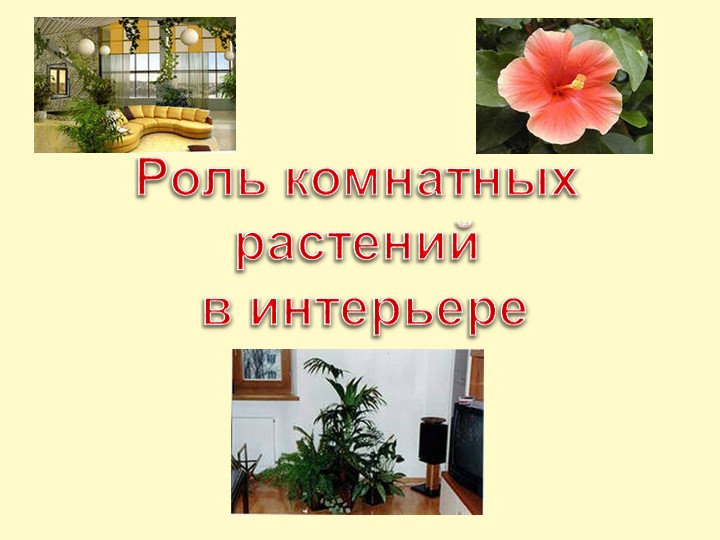 Презентация по технологии на тему «Роль комнатных растений в интерьере. Их влияние на микроклимат в помещении» (6 класс) - Скачать школьные презентации PowerPoint бесплатно | Портал бесплатных презентаций school-present.com