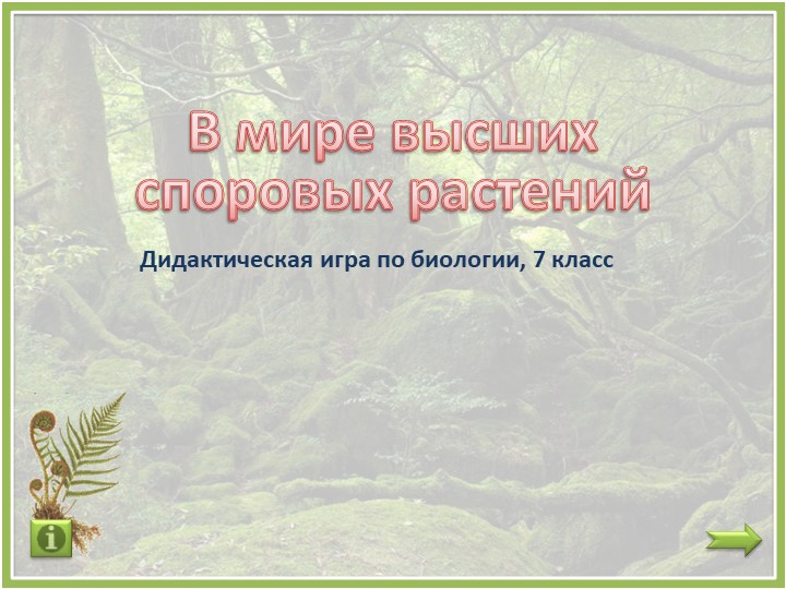 Дидактическая игра "В мире споровых растений" - Скачать школьные презентации PowerPoint бесплатно | Портал бесплатных презентаций school-present.com