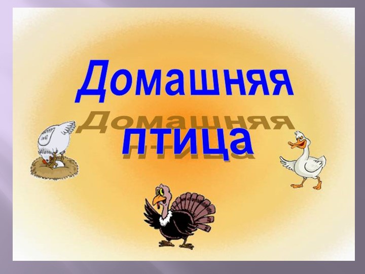 Презентация "Домашние птицы" для занятия с детьми младшего возраста. Цель: Расширение и уточнение знаний детей о домашних птицах . - Скачать школьные презентации PowerPoint бесплатно | Портал бесплатных презентаций school-present.com
