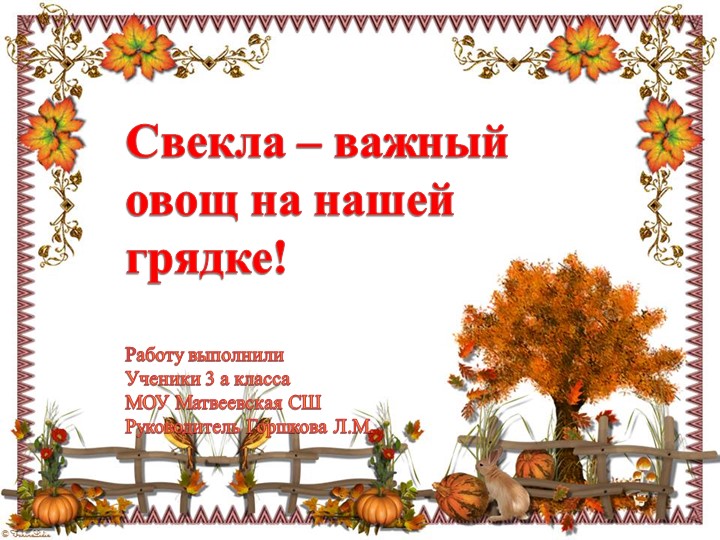 Презентация " Свекла - важный овощ на грядке"к "Празднику урожая" - Скачать школьные презентации PowerPoint бесплатно | Портал бесплатных презентаций school-present.com
