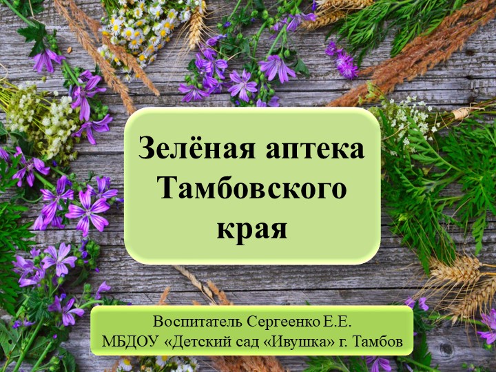 Презентация "Зелёная аптека Тамбовского края" - Скачать школьные презентации PowerPoint бесплатно | Портал бесплатных презентаций school-present.com