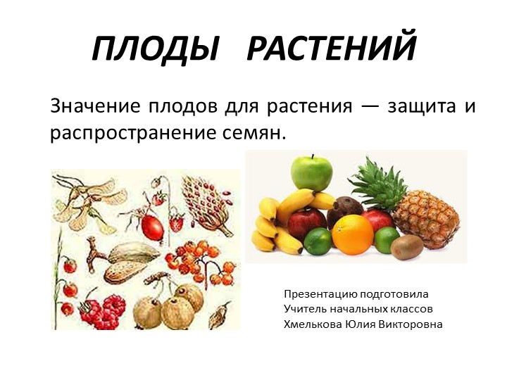 Презентация по миру природы и человека по теме: "Плоды растений". - Скачать школьные презентации PowerPoint бесплатно | Портал бесплатных презентаций school-present.com
