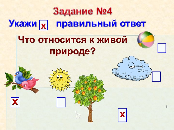 Презентация по миру природы и человека по теме: "Строение и сходство растений". - Скачать школьные презентации PowerPoint бесплатно | Портал бесплатных презентаций school-present.com