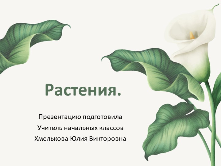 Презентация по миру природы и человека по теме: "Растения". - Скачать школьные презентации PowerPoint бесплатно | Портал бесплатных презентаций school-present.com