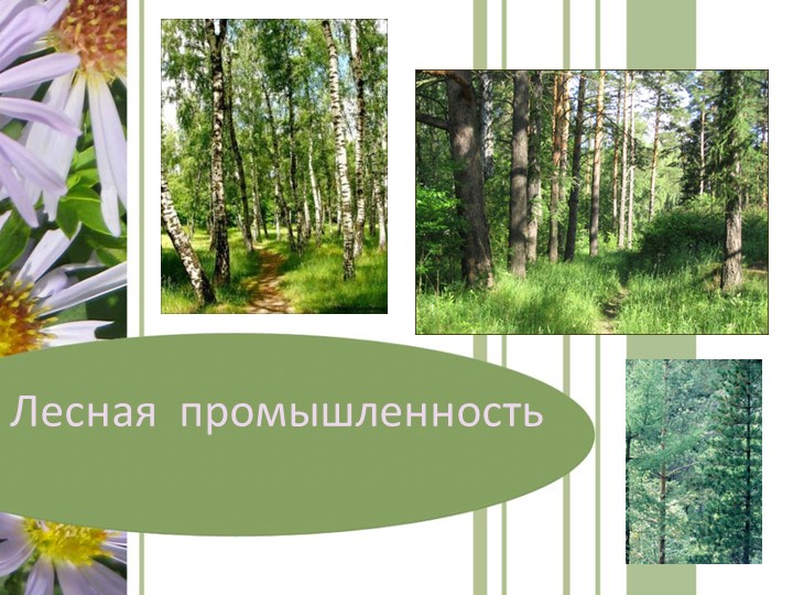 Презентация по географии "Лесная промышленность" - Скачать школьные презентации PowerPoint бесплатно | Портал бесплатных презентаций school-present.com