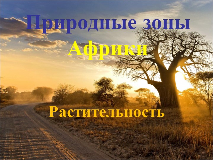 Презентация по географии на тему "Растительность Африки" (7 класс) - Скачать школьные презентации PowerPoint бесплатно | Портал бесплатных презентаций school-present.com