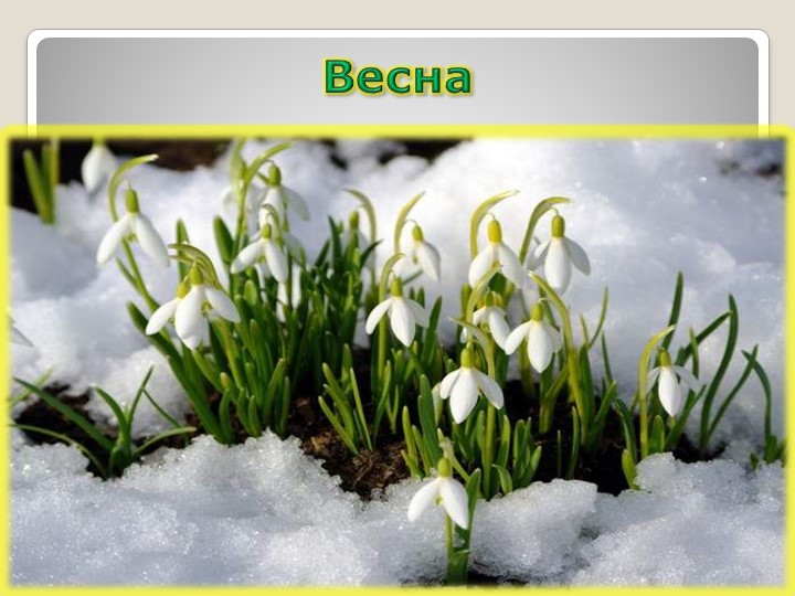 Презентация по миру природы и человека на тему: "Весна". - Скачать школьные презентации PowerPoint бесплатно | Портал бесплатных презентаций school-present.com