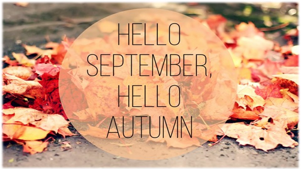 Презентация "My place" Spotlight 6 - Скачать школьные презентации PowerPoint бесплатно | Портал бесплатных презентаций school-present.com