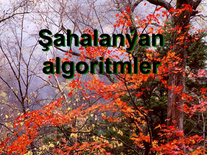 Презентация по информатике на тему "Алгоритм ветвления" - Скачать школьные презентации PowerPoint бесплатно | Портал бесплатных презентаций school-present.com
