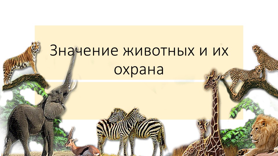 Презентация по биологии "Значение животных и их охрана" - Скачать школьные презентации PowerPoint бесплатно | Портал бесплатных презентаций school-present.com