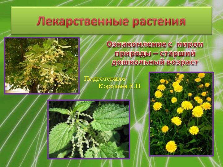 Презентация ознакомление с миром природы "Лекарственные растения" - Скачать школьные презентации PowerPoint бесплатно | Портал бесплатных презентаций school-present.com