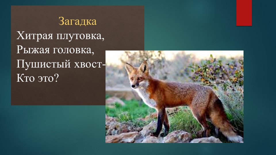 Презентация по изо "Животное - лиса" - Скачать школьные презентации PowerPoint бесплатно | Портал бесплатных презентаций school-present.com