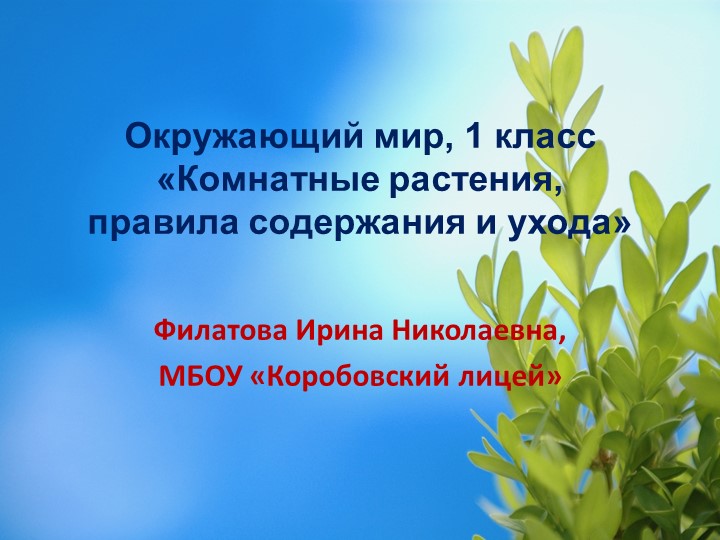 Презентация по окружающему миру на тему "Комнатные растения, правила содержания и ухода" (1 класс) - Скачать школьные презентации PowerPoint бесплатно | Портал бесплатных презентаций school-present.com
