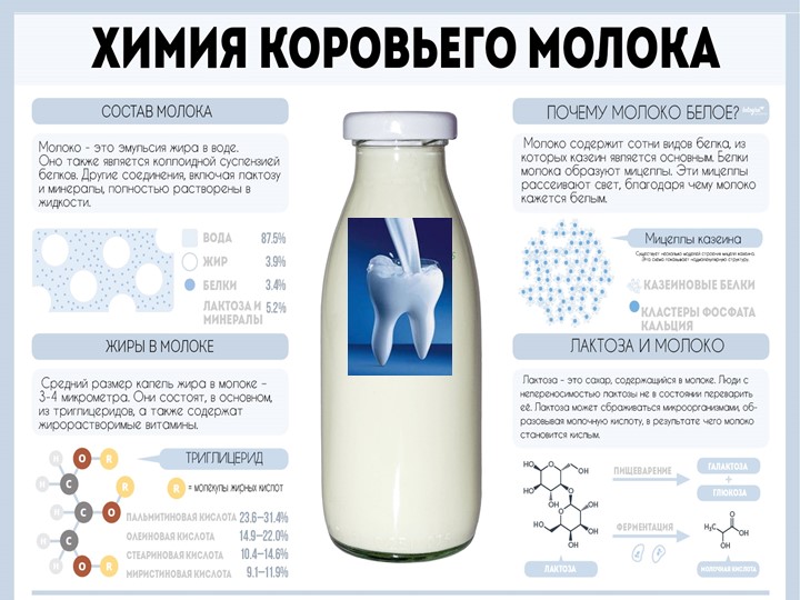 Презентация:" Молоко.Полезный ли это продукт?" - Скачать школьные презентации PowerPoint бесплатно | Портал бесплатных презентаций school-present.com